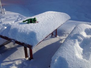 Päusli mit einem Schneechamäleon (seltene Spezies)